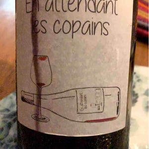 Domaine du Petit Oratoire - Lori Haon - En Attendant les Copains (blanc)