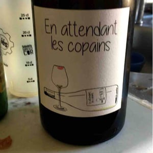 Domaine du Petit Oratoire - Lori Haon - En Attendant les Copains (blanc)