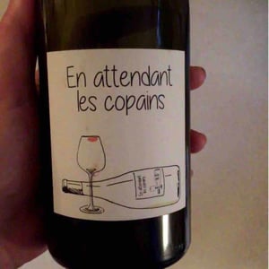 Domaine du Petit Oratoire - Lori Haon - En Attendant les Copains (blanc)