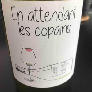 Domaine du Petit Oratoire - Lori Haon - En Attendant les Copains (blanc)