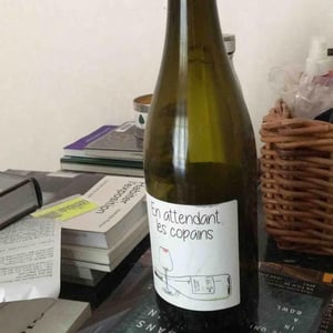 Domaine du Petit Oratoire - Lori Haon - En Attendant les Copains (blanc)