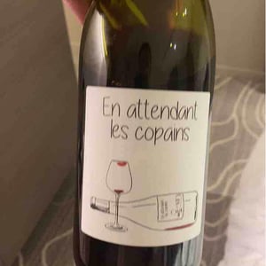 Domaine du Petit Oratoire - Lori Haon - En Attendant les Copains (blanc)