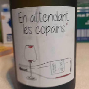 En Attendant les Copains (blanc) - Domaine du Petit Oratoire - Lori Haon 