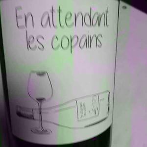 Domaine du Petit Oratoire - Lori Haon - En Attendant les Copains (blanc)
