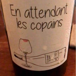 Domaine du Petit Oratoire - Lori Haon - En Attendant les Copains (blanc)