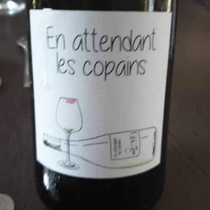 Domaine du Petit Oratoire - Lori Haon - En Attendant les Copains (blanc)