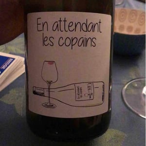 Domaine du Petit Oratoire - Lori Haon - En Attendant les Copains (blanc)