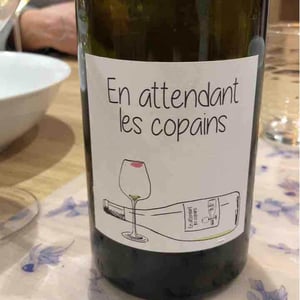 Domaine du Petit Oratoire - Lori Haon - En Attendant les Copains (blanc)