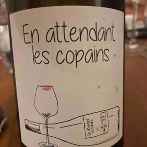 Domaine du Petit Oratoire - Lori Haon - En Attendant les Copains (blanc)