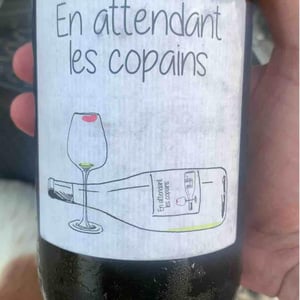 Domaine du Petit Oratoire - Lori Haon - En Attendant les Copains (blanc)