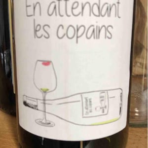 Domaine du Petit Oratoire - Lori Haon - En Attendant les Copains (blanc)