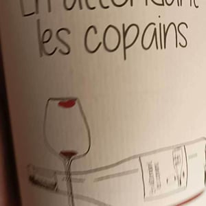 Domaine du Petit Oratoire - Lori Haon - En Attendant les Copains (blanc)