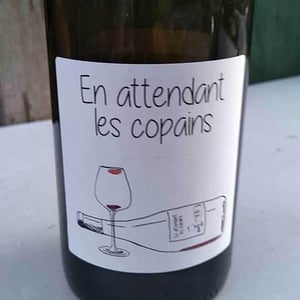 En Attendant les Copains (blanc) - Domaine du Petit Oratoire - Lori Haon 