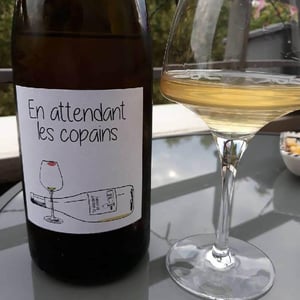 Domaine du Petit Oratoire - Lori Haon - En Attendant les Copains (blanc)