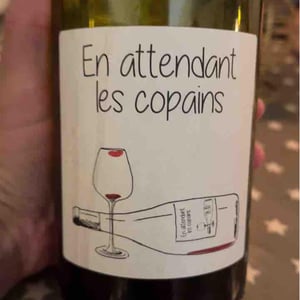 Domaine du Petit Oratoire - Lori Haon - En attendant les copains (rouge)