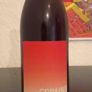 En attendant les copains (rouge) - Domaine du Petit Oratoire - Lori Haon 