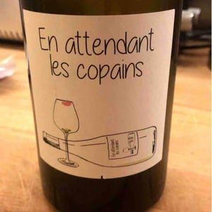 Domaine du Petit Oratoire - Lori Haon - En attendant les copains (rouge)