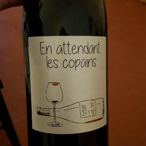 Domaine du Petit Oratoire - Lori Haon - En attendant les copains (rouge)