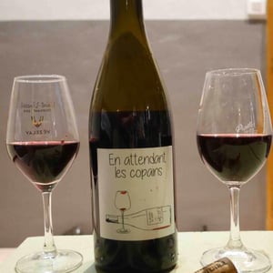 Domaine du Petit Oratoire - Lori Haon - En attendant les copains (rouge)