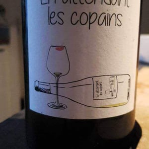 Domaine du Petit Oratoire - Lori Haon - En attendant les copains (rouge)