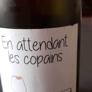 Domaine du Petit Oratoire - Lori Haon - En attendant les copains (rouge)