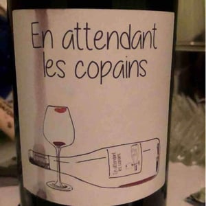 Domaine du Petit Oratoire - Lori Haon - En attendant les copains (rouge)