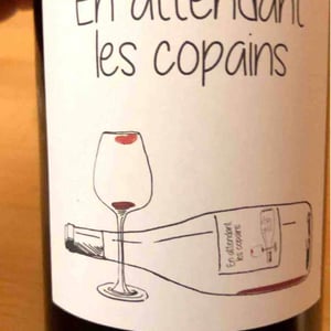 Domaine du Petit Oratoire - Lori Haon - En attendant les copains (rouge)