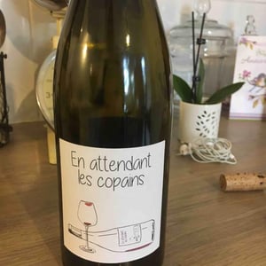 Domaine du Petit Oratoire - Lori Haon - En attendant les copains (rouge)