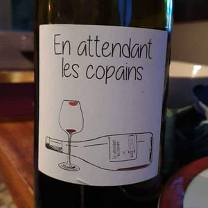 Domaine du Petit Oratoire - Lori Haon - En attendant les copains (rouge)