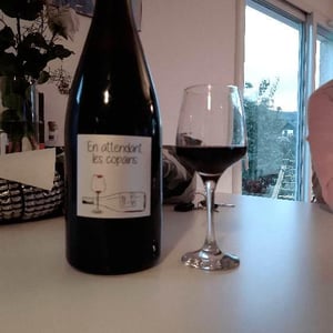 Domaine du Petit Oratoire - Lori Haon - En attendant les copains (rouge)