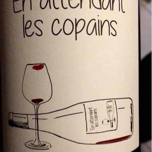 Domaine du Petit Oratoire - Lori Haon - En attendant les copains (rouge)