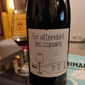 Domaine du Petit Oratoire - Lori Haon - En attendant les copains (rouge)