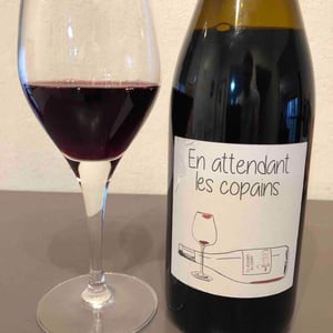 Domaine du Petit Oratoire - Lori Haon - En attendant les copains (rouge)