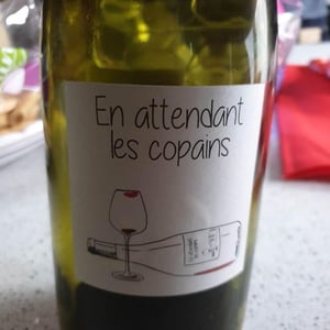 Domaine du Petit Oratoire - Lori Haon - En attendant les copains (rouge)