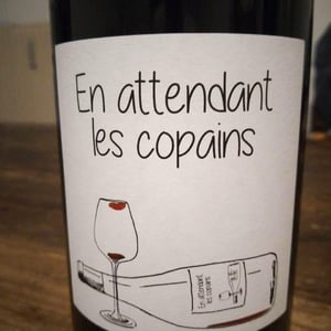 Domaine du Petit Oratoire - Lori Haon - En attendant les copains (rouge)