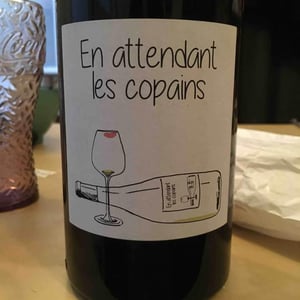 Domaine du Petit Oratoire - Lori Haon - En attendant les copains (rouge)