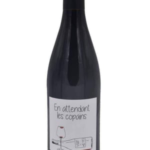 Domaine du Petit Oratoire - Lori Haon - En attendant les copains (rouge)