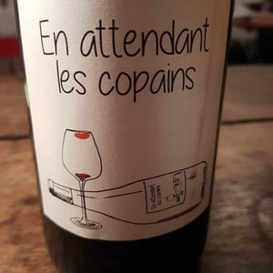 Domaine du Petit Oratoire - Lori Haon - En attendant les copains (rouge)