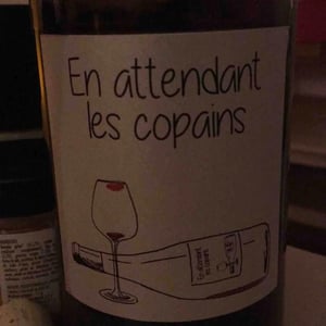 Domaine du Petit Oratoire - Lori Haon - En attendant les copains (rouge)