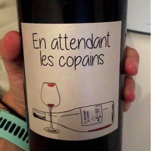 Domaine du Petit Oratoire - Lori Haon - En attendant les copains (rouge)