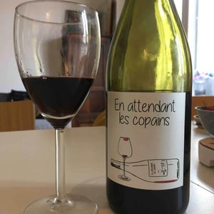 Domaine du Petit Oratoire - Lori Haon - En attendant les copains (rouge)