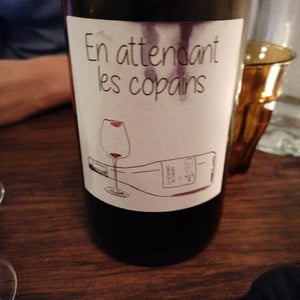 Domaine du Petit Oratoire - Lori Haon - En attendant les copains (rouge)