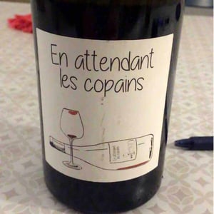Domaine du Petit Oratoire - Lori Haon - En attendant les copains (rouge)