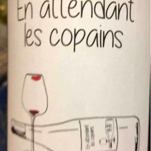 Domaine du Petit Oratoire - Lori Haon - En attendant les copains (rouge)