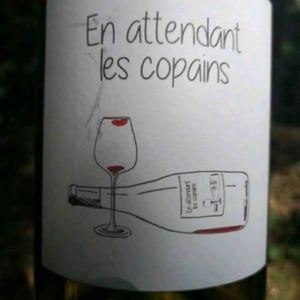 Domaine du Petit Oratoire - Lori Haon - En attendant les copains (rouge)