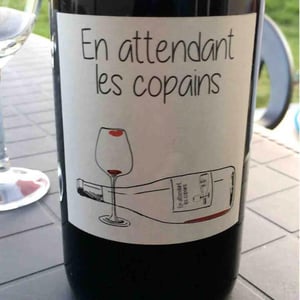 Domaine du Petit Oratoire - Lori Haon - En attendant les copains (rouge)