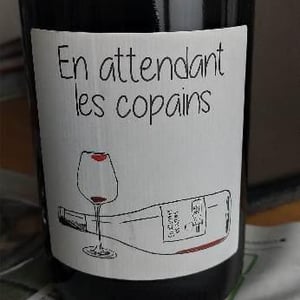 Domaine du Petit Oratoire - Lori Haon - En attendant les copains (rouge)