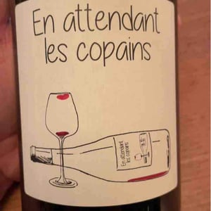 En attendant les copains (rouge) - Domaine du Petit Oratoire - lori-haon