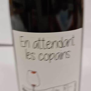 En attendant les copains (rouge) - Domaine du Petit Oratoire - lori-haon