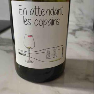 Domaine du Petit Oratoire - Lori Haon - En attendant les copains (rouge)